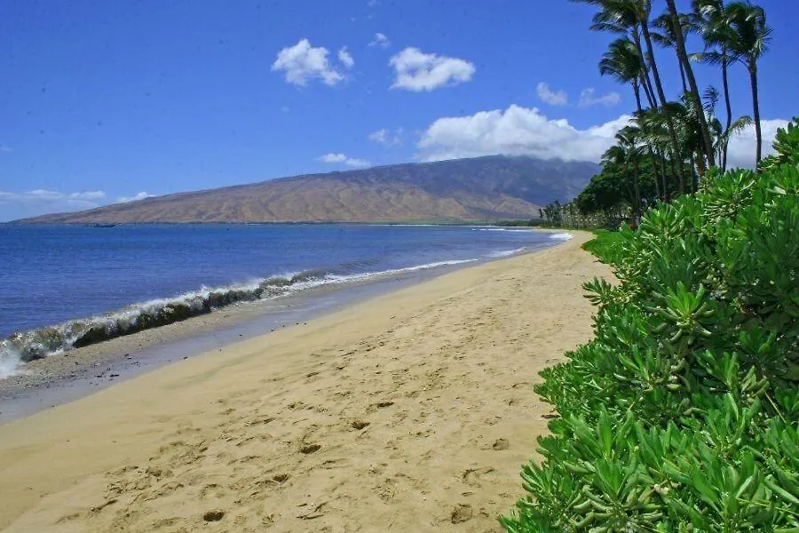 Kihei Beach, #402 Condo Apartment
